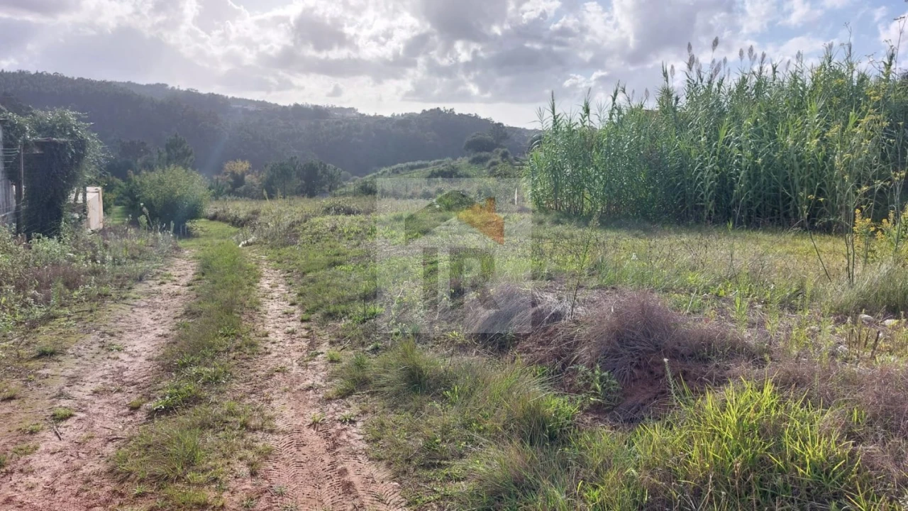 Terreno para Venda em Santa Catarina Foto 4