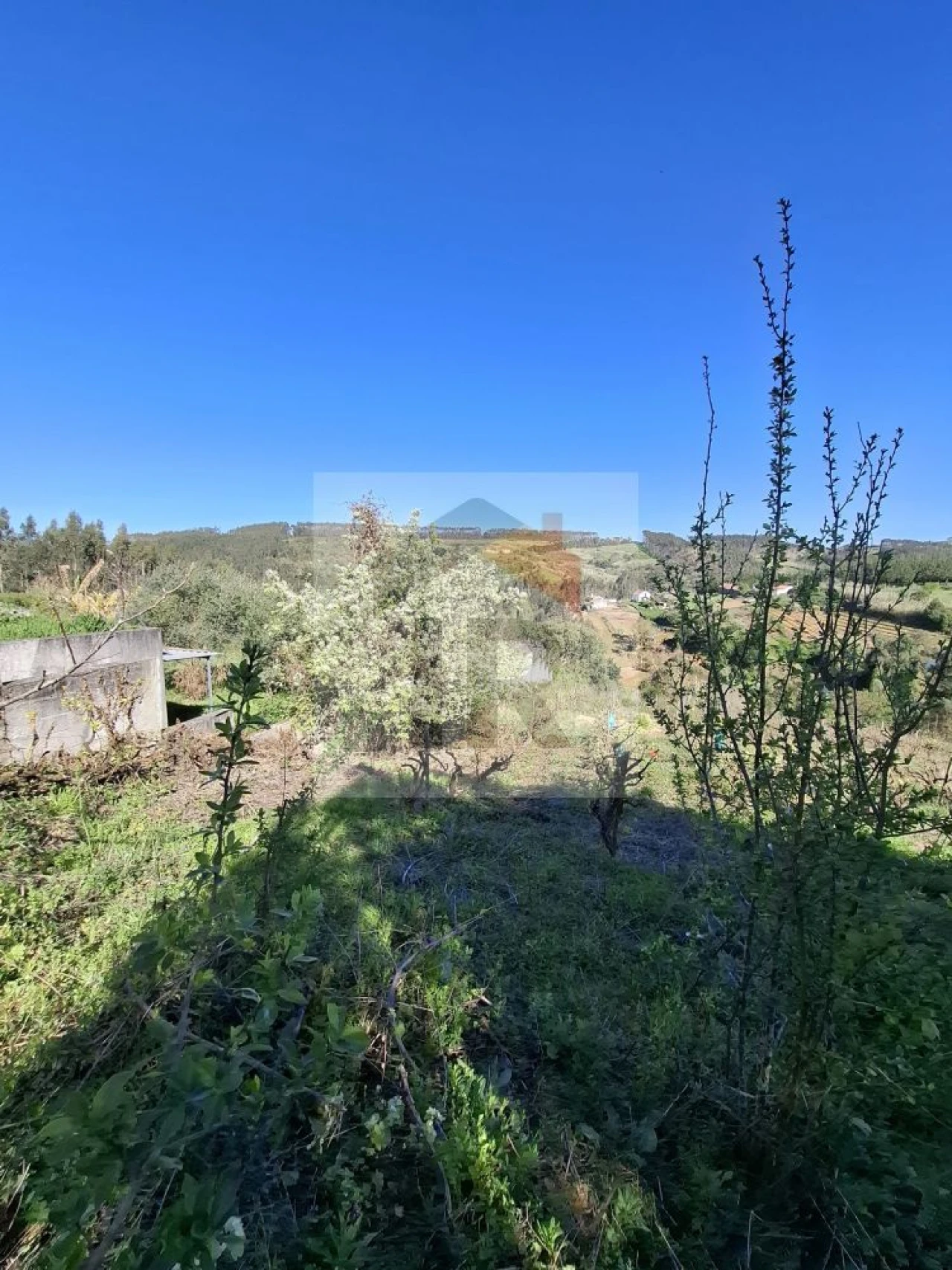 Moradia T2 para Venda em A dos Negros Foto 21