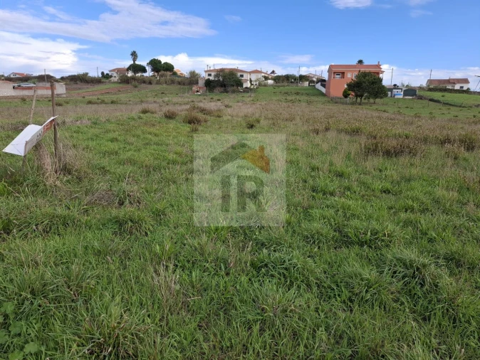 Terreno para Venda em Tornada e Salir do Porto Foto 3