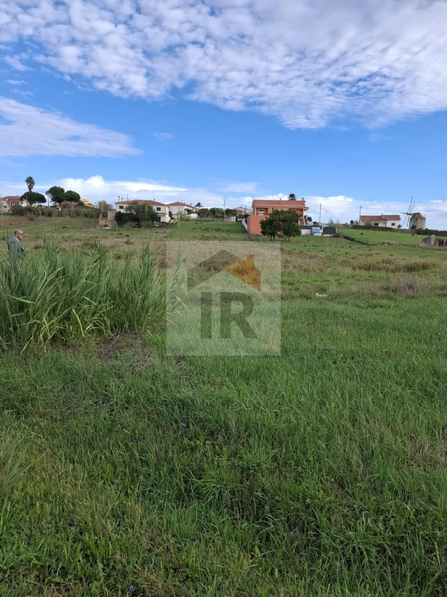 Terreno para Venda em Tornada e Salir do Porto Foto 2