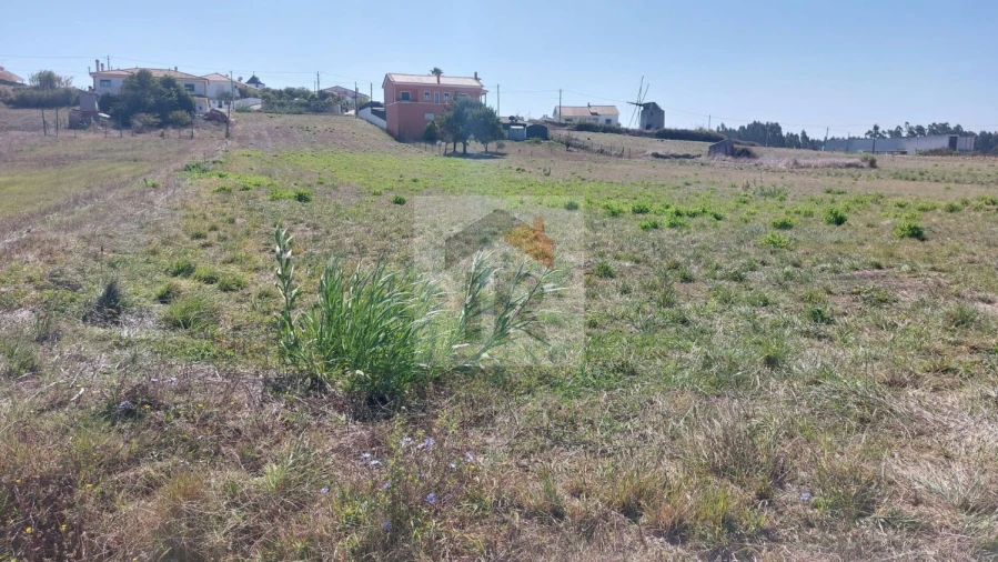 Terreno para Venda em Tornada e Salir do Porto Foto 7