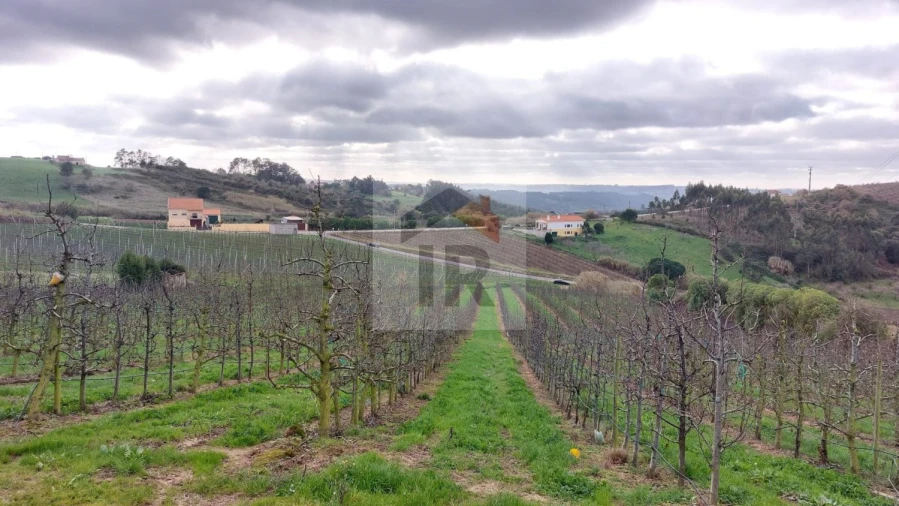 Terreno para Venda em Carvalhal Benfeito Foto 11