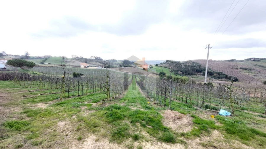 Terreno para Venda em Carvalhal Benfeito Foto 12