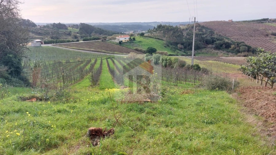Terreno para Venda em Carvalhal Benfeito Foto 17