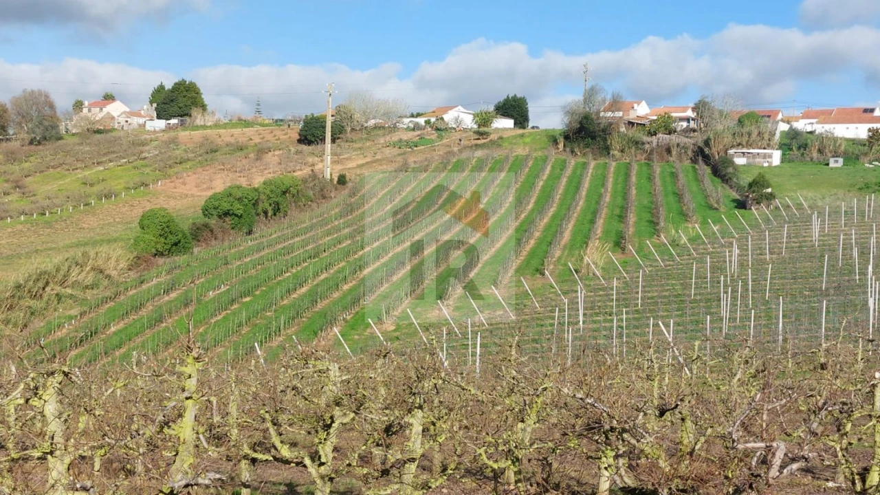 Terreno para Venda em Carvalhal Benfeito Foto 3
