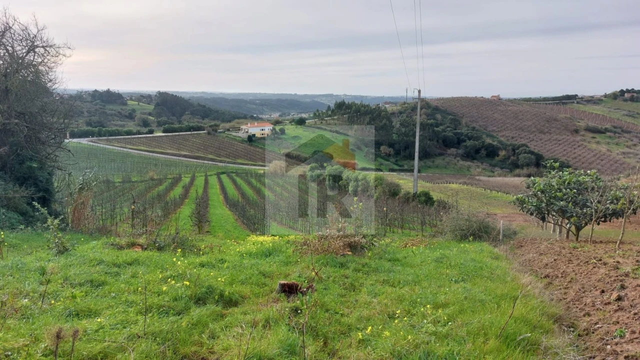 Terreno para Venda em Carvalhal Benfeito Foto 15