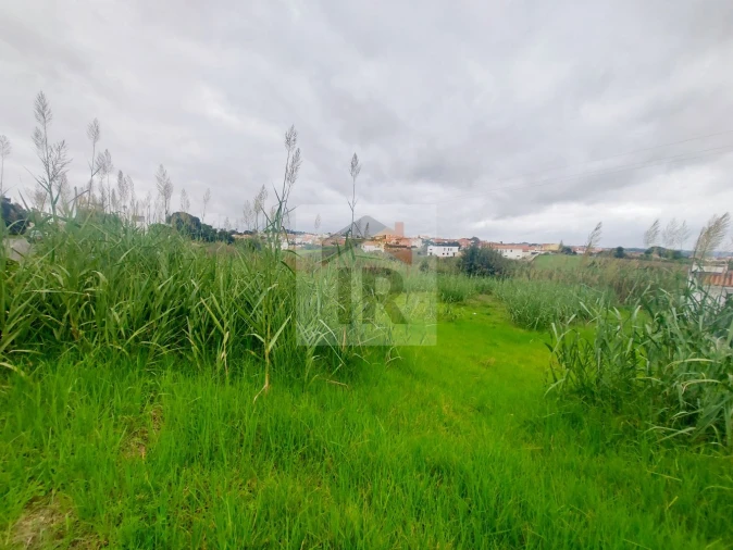 Terreno para Venda em Gaeiras Foto 11