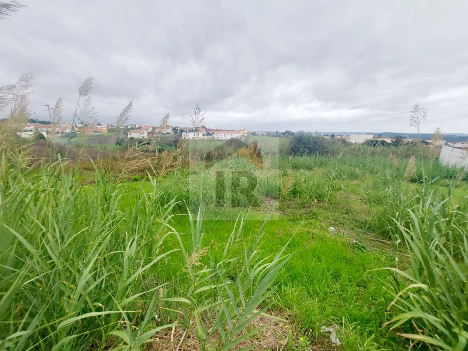 Terreno para Venda em Gaeiras Foto 6
