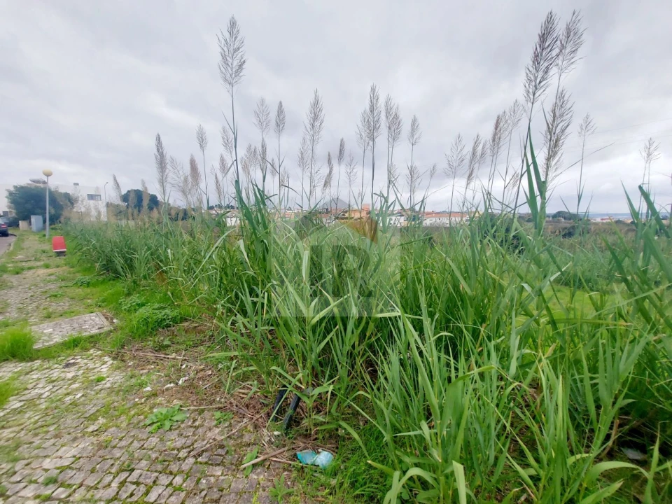 Terreno para Venda em Gaeiras Foto 10