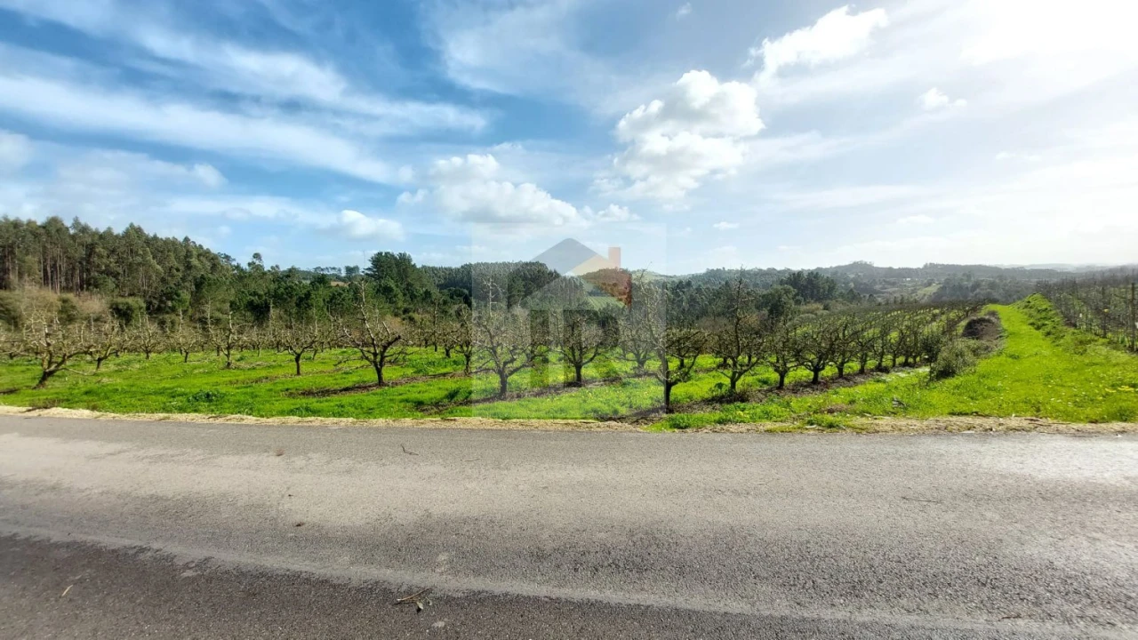 Terreno para Venda em Salir de Matos Foto 5