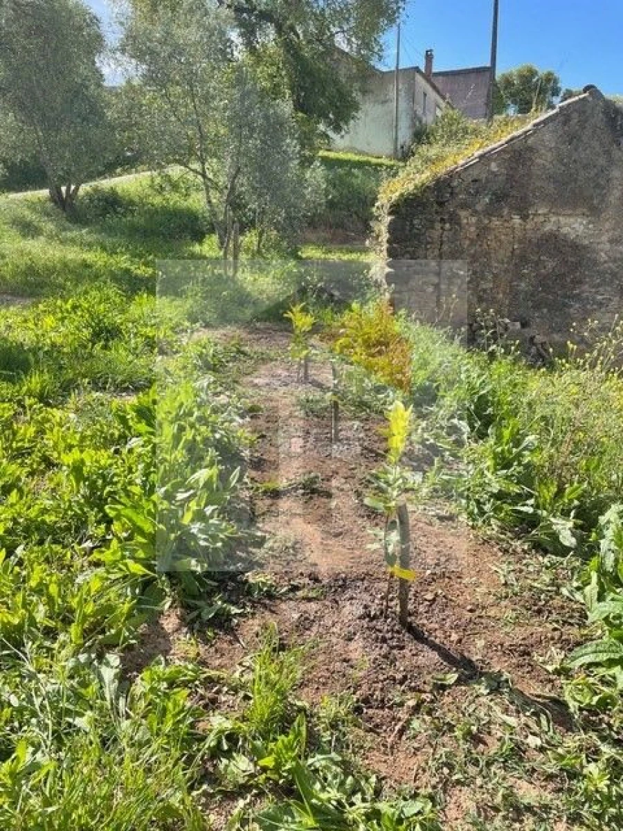 Quinta T3 para Venda em Evora de Alcobaça Foto 9