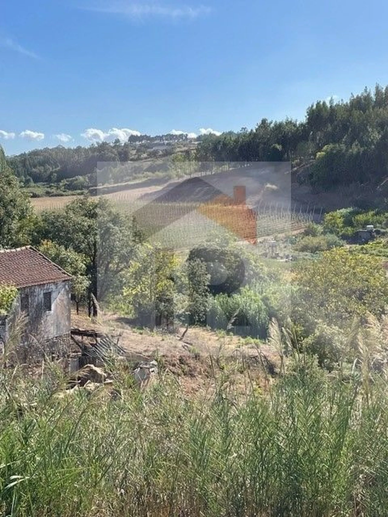Quinta T3 para Venda em Evora de Alcobaça Foto 4