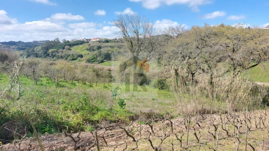 Terreno para Venda em Alvorninha