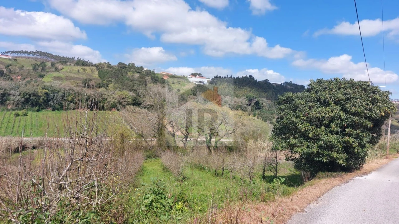 Terreno para Venda em Alvorninha Foto 2