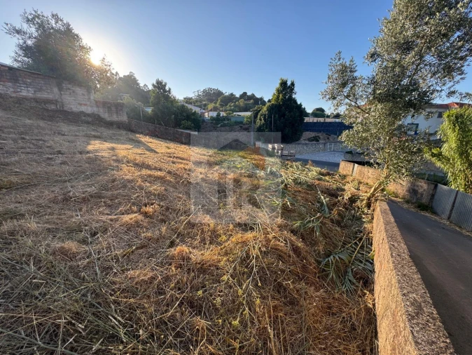 Terreno para Venda em Salir de Matos Foto 10