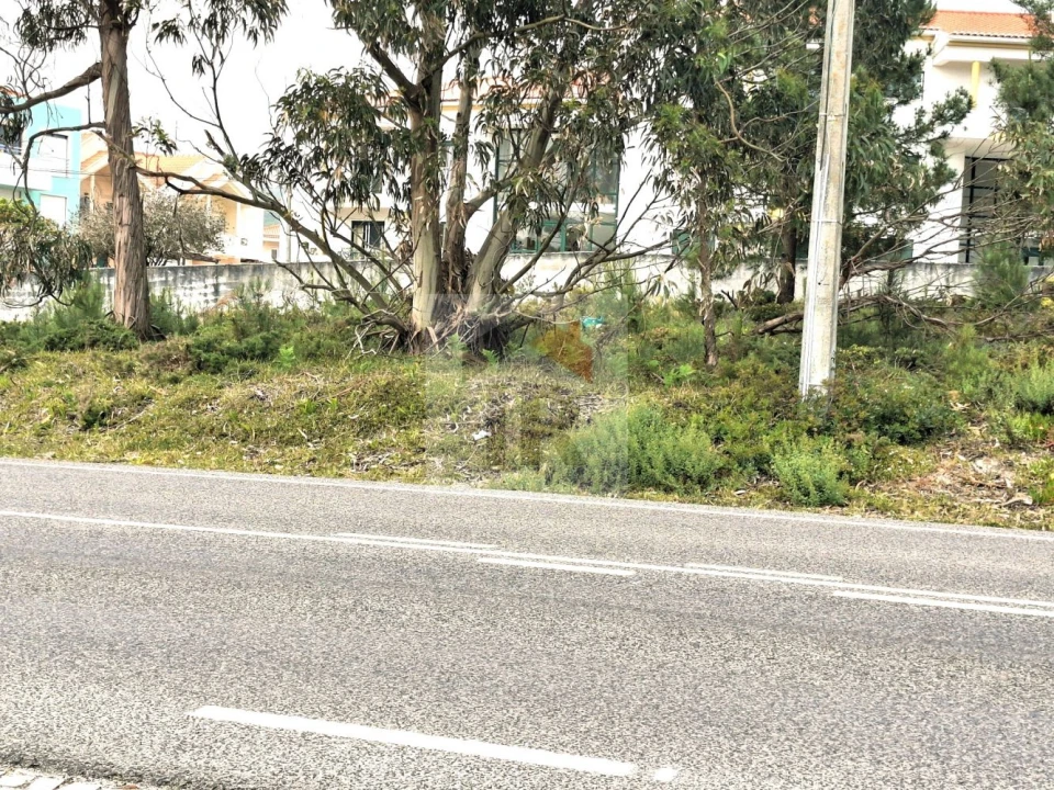 Terreno para Venda em Foz do Arelho Foto 12