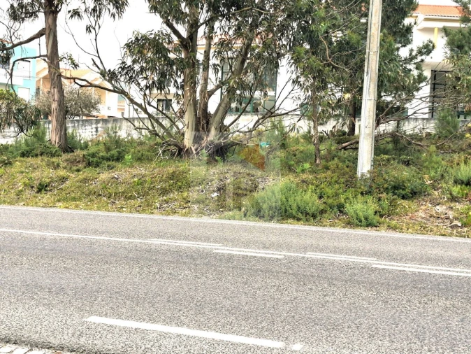 Terreno para Venda em Foz do Arelho Foto 12
