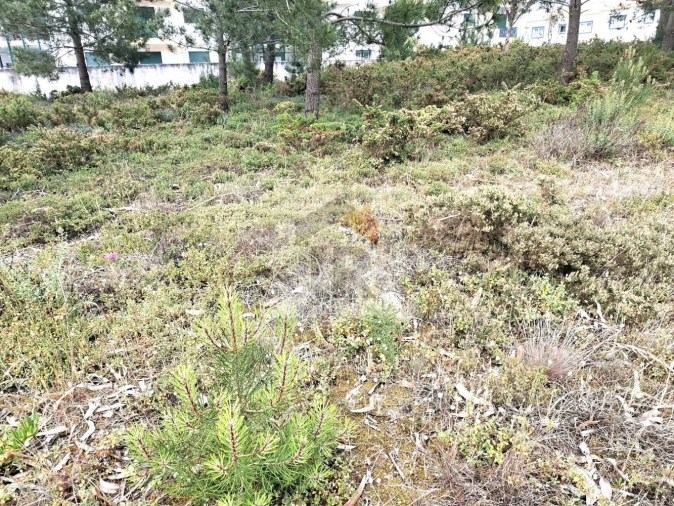 Terreno para Venda em Foz do Arelho Foto 19