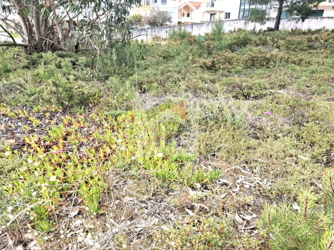 Terreno para Venda em Foz do Arelho Foto 20