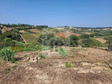 Terreno para Venda em Alvorninha