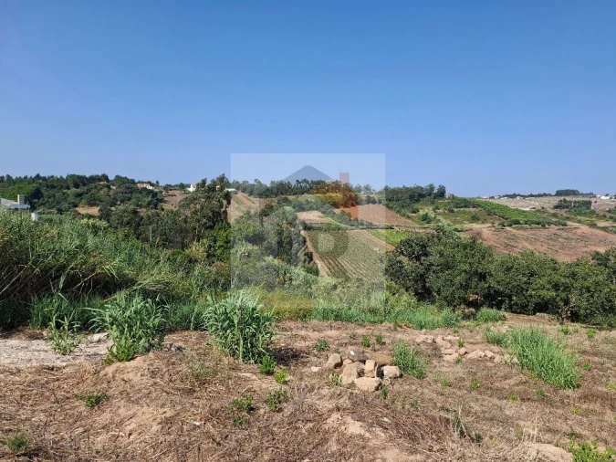 Terreno para Venda em Alvorninha Foto 2