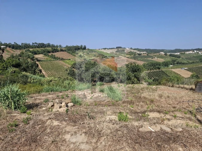 Terreno para Venda em Alvorninha