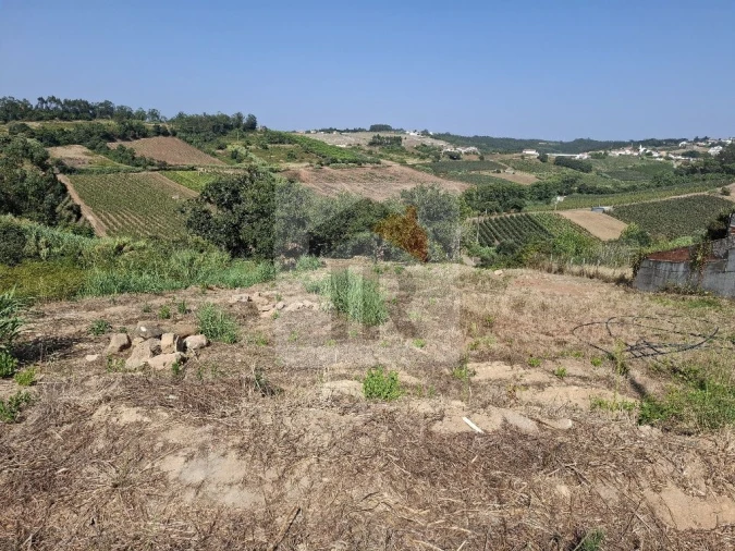 Terreno para Venda em Alvorninha Foto 4