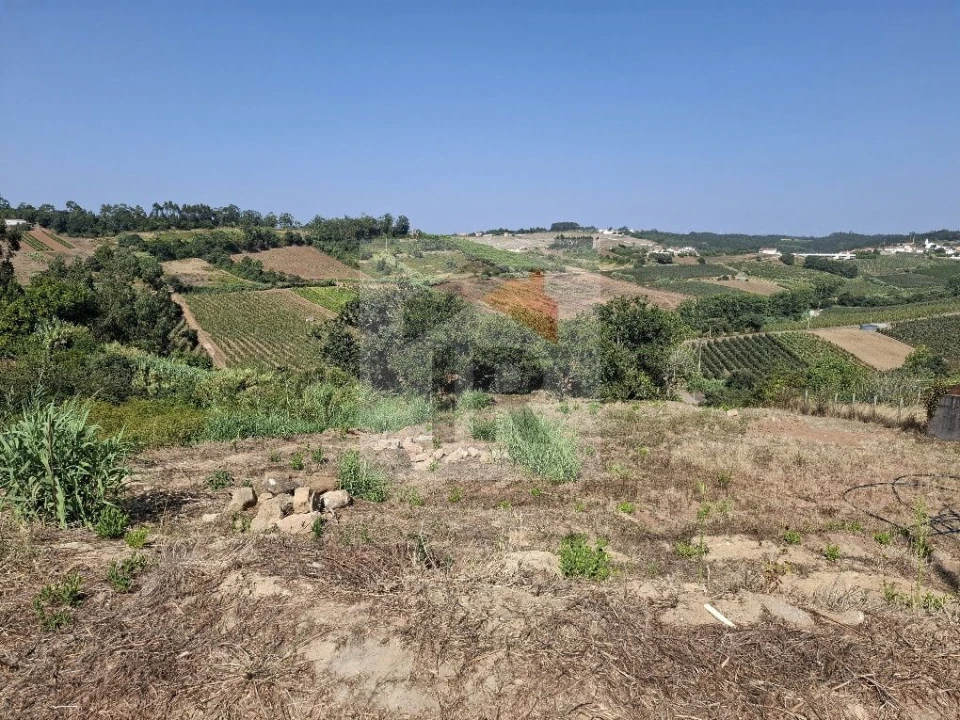 Terreno para Venda em Alvorninha Foto 1