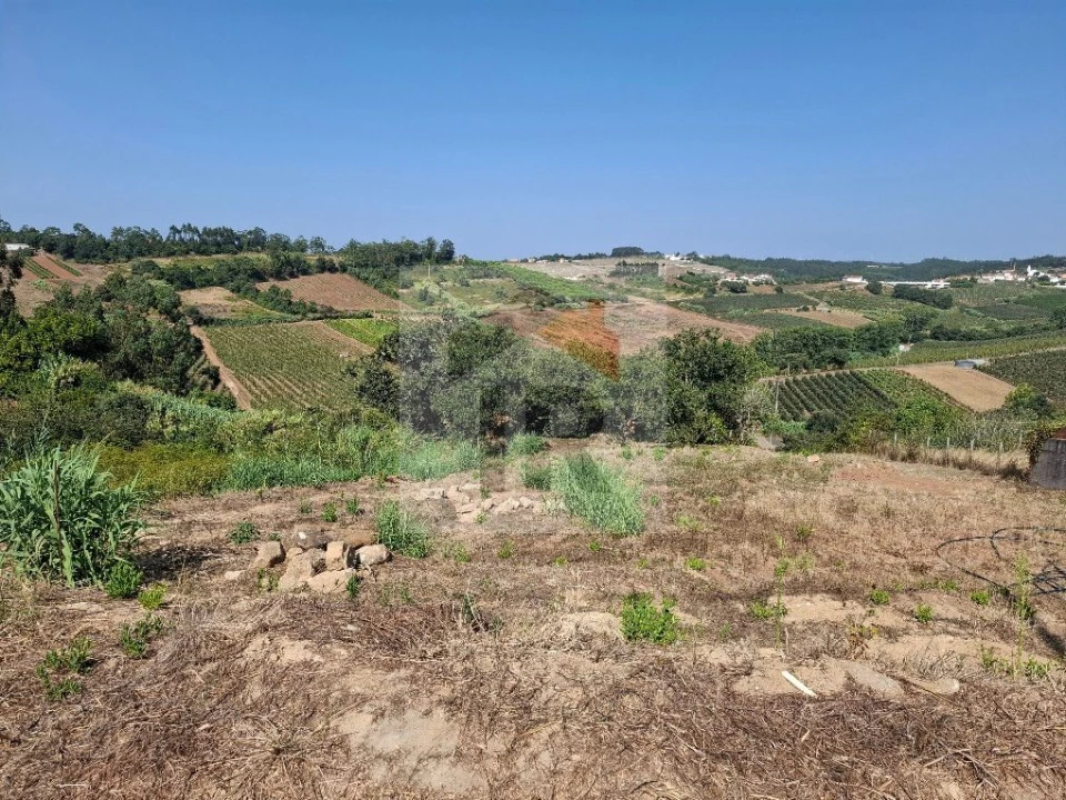 Terreno para Venda em Alvorninha Foto 1