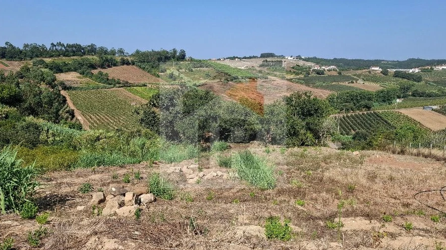 Terreno para Venda em Alvorninha