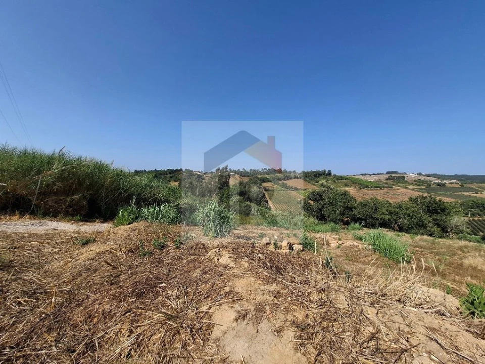 Terreno para Venda em Alvorninha Foto 7