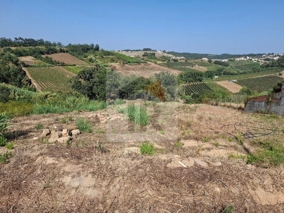 Terreno para Venda em Alvorninha Foto 5