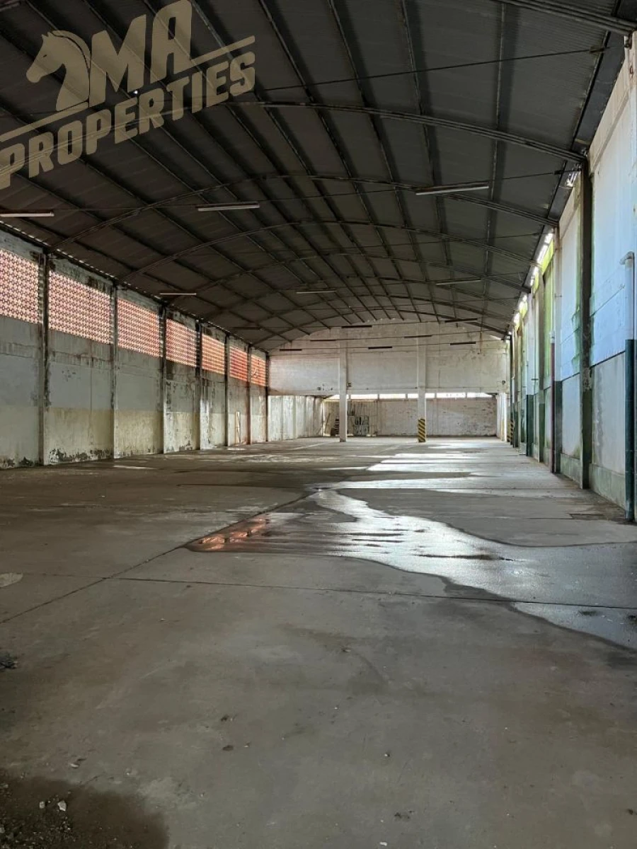 Loja para Venda em Azinhaga Foto 7