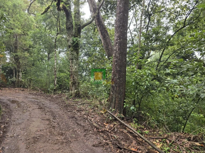 Terreno para Venda em Santana Foto 2