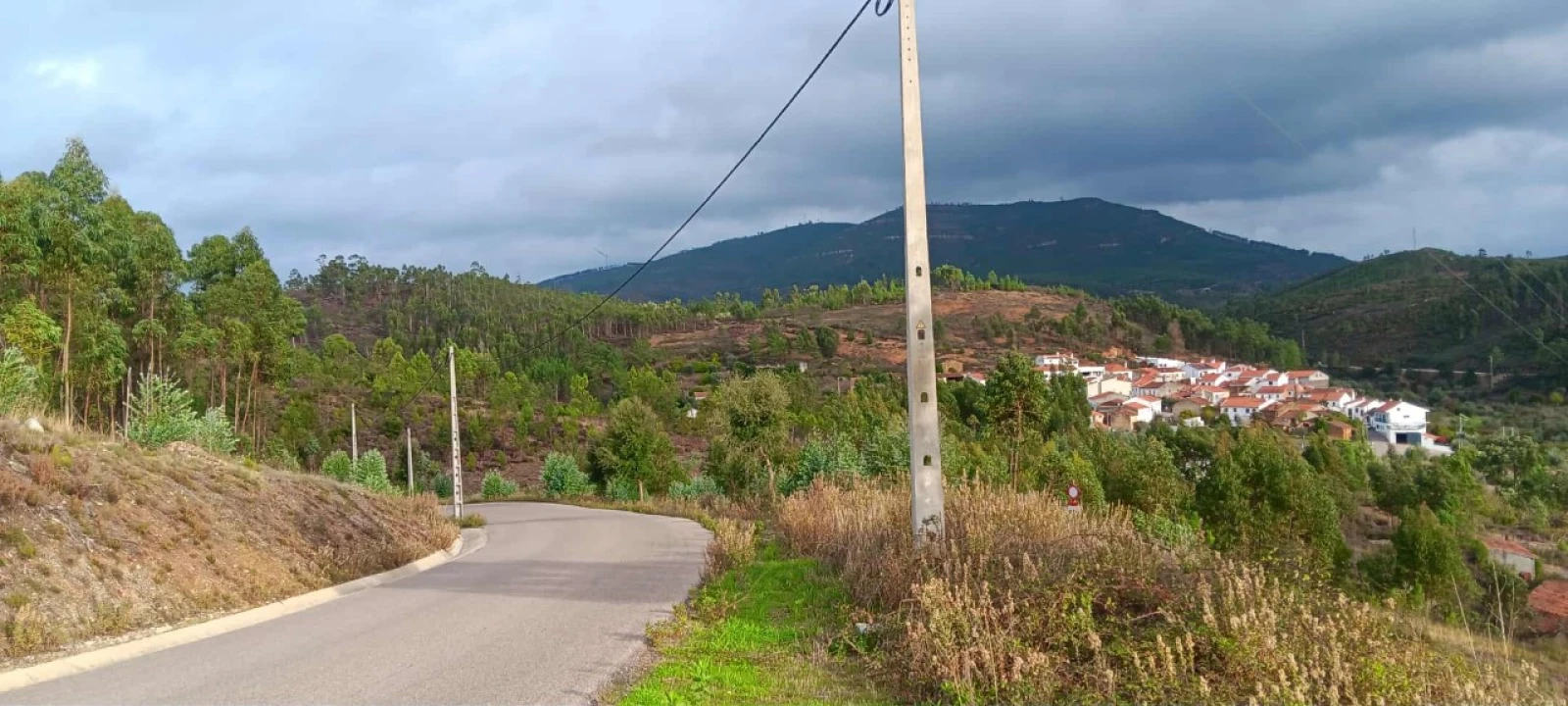 Terreno Agricola ou Rústico para Venda em Mação, Penhascoso e Aboboreira Foto 3