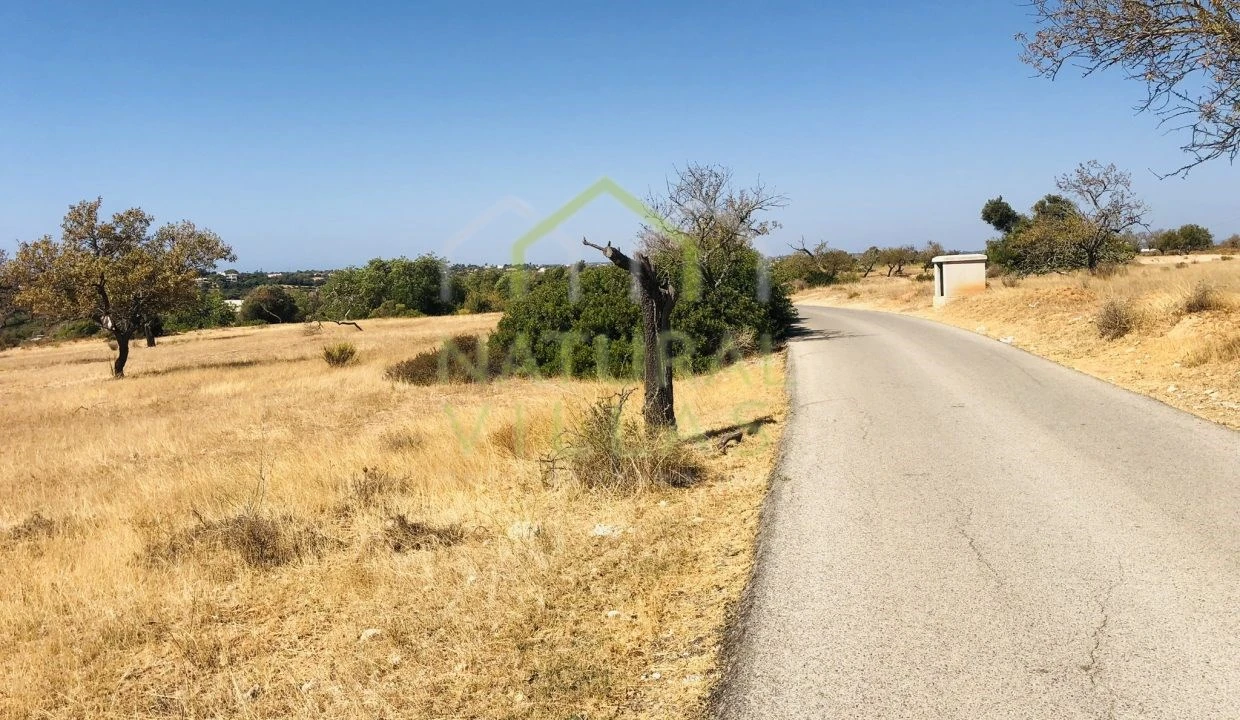 Terreno Agricola ou Rústico para Venda em Guia Foto 1