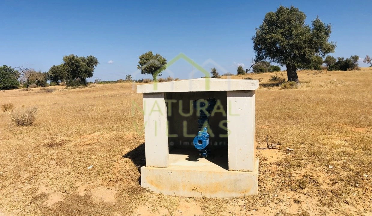 Terreno Agricola ou Rústico para Venda em Guia Foto 3