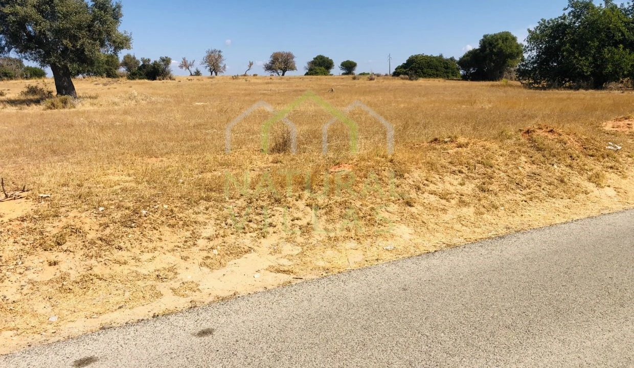 Terreno Agricola ou Rústico para Venda em Guia Foto 4