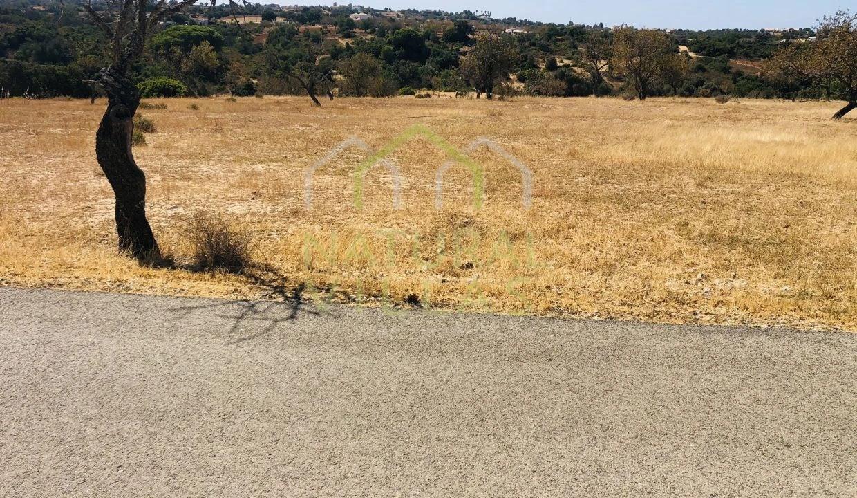 Terreno Agricola ou Rústico para Venda em Guia Foto 5