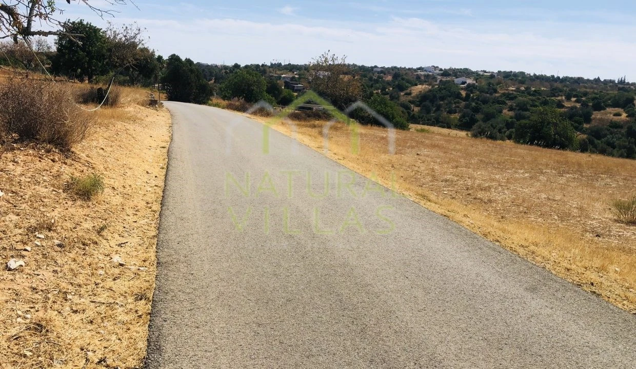 Terreno Agricola ou Rústico para Venda em Guia Foto 6