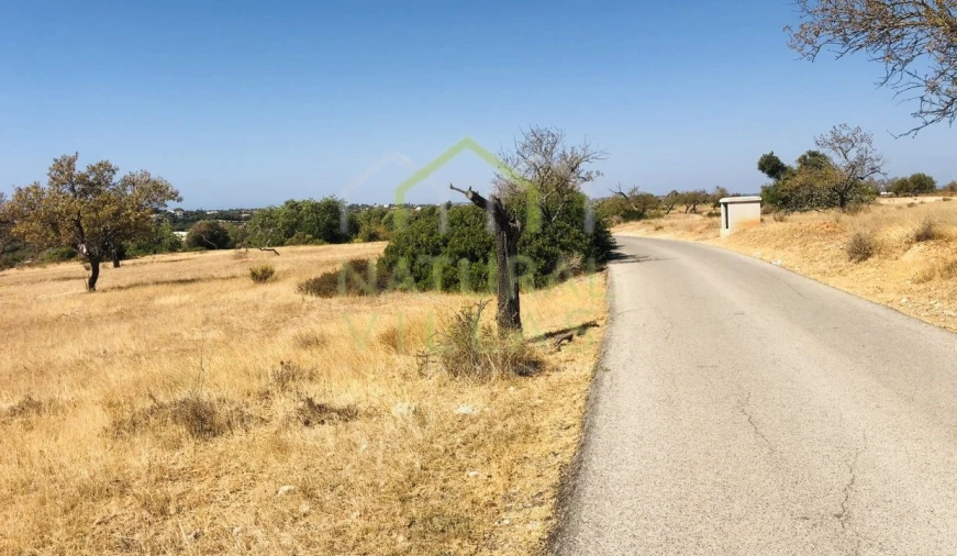 Terreno Agricola ou Rústico para Venda em Guia Foto 1
