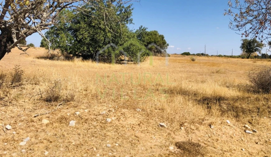 Terreno Agricola ou Rústico para Venda em Guia Foto 2