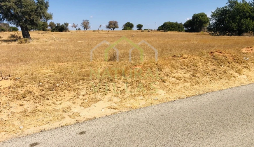 Terreno Agricola ou Rústico para Venda em Guia Foto 4