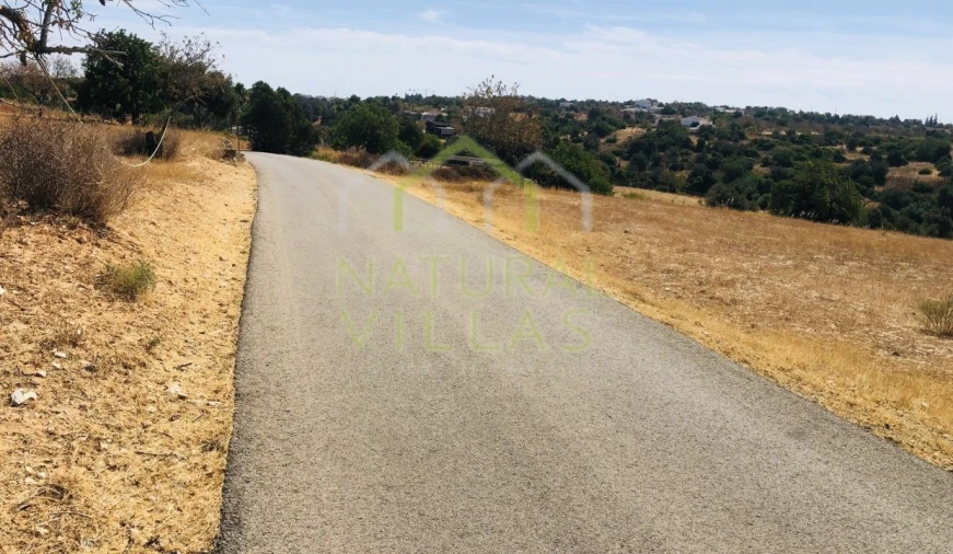 Terreno Agricola ou Rústico para Venda em Guia Foto 6