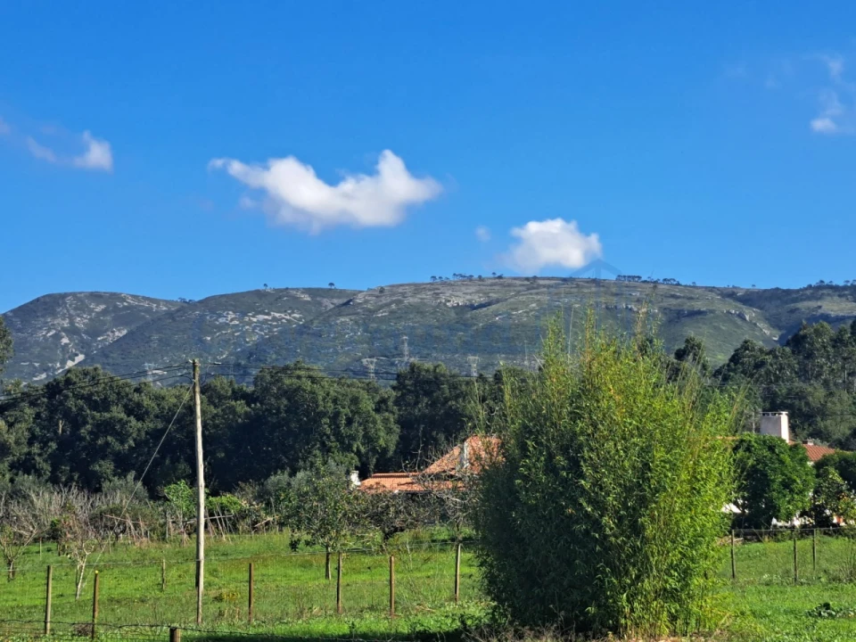 Moradia T3 para Venda em Aljubarrota Foto 21