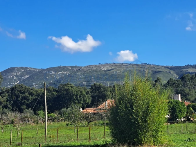 Moradia T3 para Venda em Aljubarrota Foto 21