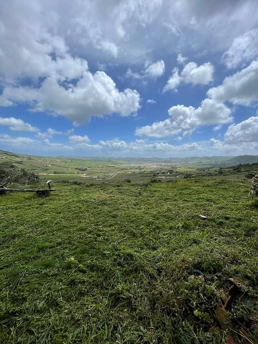 Armazém para Venda em Arruda dos Vinhos Foto 4