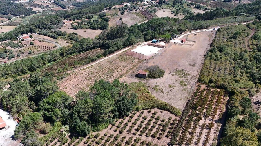 Moradia para Venda em Alvorninha