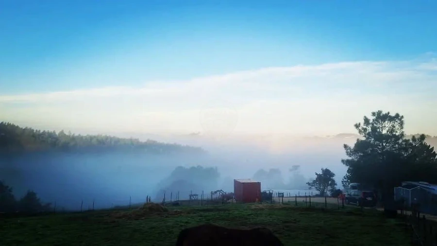 Moradia para Venda em Alvorninha Foto 8