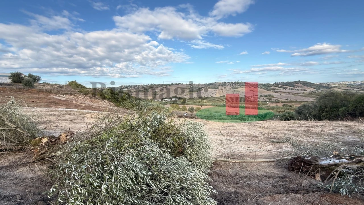 Terreno para Venda em Azambujeira e Malaqueijo Foto 3